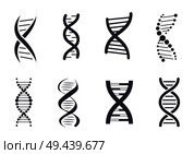 Collection of DNA deoxyribonucleic acid chains logo design in black and white colors, DNA logotypes of nucleotides carrying genetic instructions vector. Collection of DNA Deoxyribonucleic Acid Chain Logo. Стоковая иллюстрация, агентство Ingram Publishing / Фотобанк Лори