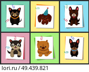 Puppies and dogs poster set, collection of pets pictures, creatures of different breeds and colors, in cap and bows, isolated on vector illustration. Dog on a piece of paper clamped with a paper clip. Puppies and Dogs Poster Set Vector Illustration. Стоковая иллюстрация, агентство Ingram Publishing / Фотобанк Лори