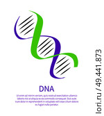 DNA icon of genetic personal code, deoxyribonucleic acid chain symbol with place for text, logotype of nucleotides carrying genetic instructions vector. DNA Icon of Genetic Code, Deoxyribonucleic Acid. Стоковая иллюстрация, агентство Ingram Publishing / Фотобанк Лори