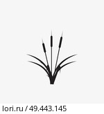reeds illustration vector icon. Стоковая иллюстрация, агентство Ingram Publishing / Фотобанк Лори