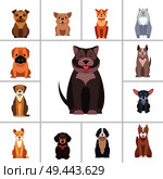 Cute dogs cartoon icons set. Happy doggies sitting with smiling muzzle and hanging out tongue flat vector isolated on white. Lovely purebred pets illustration for vet clinic, breed club or shop ad. Cute Purebred Dogs Cartoon Flat Vectors Icons Set. Стоковая иллюстрация, агентство Ingram Publishing / Фотобанк Лори