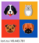 Funny muzzles cartoon puppies heads collection, flat vector isolated on color backgrounds. Lovely purebred pets illustration for animal friend concept, shop or veterinary clinic ad. Cute Dogs Muzzles Cartoon Flat Vector Icons Set. Стоковая иллюстрация, агентство Ingram Publishing / Фотобанк Лори