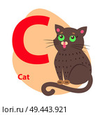 Children ABC with cute animal cartoon vector. English letter C with funny cat flat illustration isolated on white background. Zoo alphabet with pet and caption for preschool education, kids books. Zoo ABC Letter with Cute Cat Cartoon Vector. Стоковая иллюстрация, агентство Ingram Publishing / Фотобанк Лори