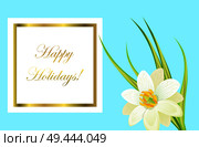 Happy holidays framed card with white narcissus on green stem with long leaves on azure background. Congratulation postcard with flower for women. Happy holidays framed card with white narcissus nearby. Стоковая иллюстрация, агентство Ingram Publishing / Фотобанк Лори