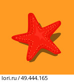 Red starfish or sea star star-shaped echinoderm on beige sand background. Starfish colorful marine decorative underwater creature vector illustration. Red Starfish or Sea Star Star-Shaped Echinoderm. Стоковая иллюстрация, агентство Ingram Publishing / Фотобанк Лори