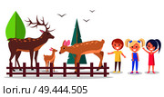 Adult stag and doe with their little fawn in forest cartoon style. Isolated vector illustration of deer family on white background, school children on excursion. Deer Family in Woods Isolated Cartoon Illustration. Стоковая иллюстрация, агентство Ingram Publishing / Фотобанк Лори