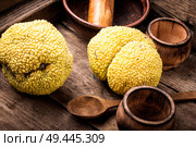Maclura fruit, Adams apple.Powerful antioxidant. Maclura in folk medicine. Maclura orange or apple macaroni. Стоковое фото, агентство Ingram Publishing / Фотобанк Лори