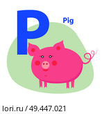 Cute pink pig on alphabet icon character P drawn pattern on white background. Round pet with light piglet and swirling tail. Vector illustration of preschool education for children with funny animal.. Cute Pink Pig on Alphabet Icon Character P Drawn. Стоковая иллюстрация, агентство Ingram Publishing / Фотобанк Лори