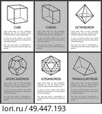 Cube cuboid octahedron dodecahedron icosahedron triangular prism geometric shapes projections, symmetric figures with dashes and lines vector set text. Cube Cuboid Octahedron Dodecahedron Icosahedron. Стоковая иллюстрация, агентство Ingram Publishing / Фотобанк Лори