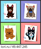 Puppies and dogs poster set, collection of pets pictures, creatures of different breeds and colors, isolated on vector illustration. Dog on a piece of paper clamped with a paper clip. Puppies and Dogs Poster Set Vector Illustration. Стоковая иллюстрация, агентство Ingram Publishing / Фотобанк Лори