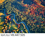 Curved road trough fall forest and village. High mountain pass in Carpathian mountains, Ukraine. Autumn top aerial view from drone. Стоковое фото, агентство Ingram Publishing / Фотобанк Лори