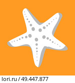 White starfish or sea star star-shaped echinoderm on beige sand background. Starfish colorful marine decorative underwater creature vector illustration. White Starfish or Sea Star Star-Shaped Echinoderm. Стоковая иллюстрация, агентство Ingram Publishing / Фотобанк Лори