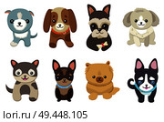 Dogs and puppies collection, poster with pets, of different breeds, pug and basset hound, labrador and chihuahua, dachshund dog on vector illustration. Dogs and Puppies Set Poster Vector Illustration. Стоковая иллюстрация, агентство Ingram Publishing / Фотобанк Лори