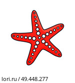 Red starfish with round suckers isolated cartoon vector illustration on white background. Unusual creature that lives under water.. Red Starfish with Suckers Isolated Illustration. Стоковая иллюстрация, агентство Ingram Publishing / Фотобанк Лори