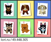 Puppies and dogs poster set, collection of pets pictures, creatures of different breeds and colors, isolated on vector illustration. Dog on a piece of paper clamped with a paper clip. Puppies and Dogs Poster Set Vector Illustration. Стоковая иллюстрация, агентство Ingram Publishing / Фотобанк Лори