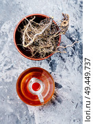 Maral root, medicinal plant of Siberian medicine.Medicinal plant. Maral root in herbal medicine. Стоковое фото, агентство Ingram Publishing / Фотобанк Лори
