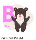 Children ABC with cute animal cartoon vector. English letter B with funny bear flat illustration isolated on white background. Zoo alphabet with mammal and caption for preschool education, kids books. Zoo ABC Letter with Cute Bear Cartoon Vector. Стоковая иллюстрация, агентство Ingram Publishing / Фотобанк Лори