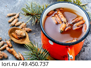 Tea with pine buds for treating colds.Pine buds.Herbal medicine.Herbal medicinal tinctures. Tea with pine buds. Стоковое фото, агентство Ingram Publishing / Фотобанк Лори