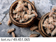 Pine buds for treating colds.Pine buds.Dried pine shoots. Pine buds, natural healer. Стоковое фото, агентство Ingram Publishing / Фотобанк Лори