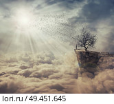 Young man standing on the peak of a cliff over clouds watching at a flock of birds flying from a strange, bare tree. The tree of death symbol, journey and discover. Стоковое фото, агентство Ingram Publishing / Фотобанк Лори