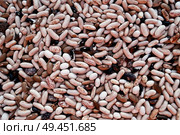 Colorful bean texture background. Стоковое фото, агентство Ingram Publishing / Фотобанк Лори