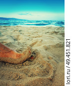 Close up of human toe on a sand beach. Summer leisure, sea holiday. Стоковое фото, агентство Ingram Publishing / Фотобанк Лори