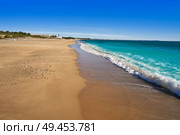 Platja L’Estany Gelat beach playa in Miami-Platja of Tarragona at Costa Dorada of Catalonia. Стоковое фото, агентство Ingram Publishing / Фотобанк Лори