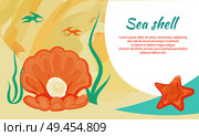 Sea shell creative poster with highly valued gemstone in open seashelleisure fish swimming underwater on background and star with place for text. Sea Shell Creative Poster with Valued Gemstone. Стоковая иллюстрация, агентство Ingram Publishing / Фотобанк Лори