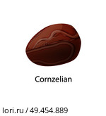 Carnelian brownish-red mineral used as semi-precious gemstone, silica mineral chalcedony orange-red colored, stone vector. Carnelian or Cornelian Brownish-Red Mineral Vector. Стоковая иллюстрация, агентство Ingram Publishing / Фотобанк Лори
