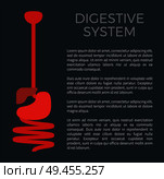 Digestive system black poster with headline and information text sample, human organs of digestion gastrointestinal tract info vector illustration. Digestive System Black Poster Vector Illustration. Стоковая иллюстрация, агентство Ingram Publishing / Фотобанк Лори