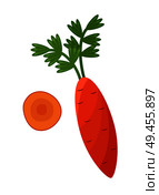 Healthy orange carrot with green leaves, whole organic vegetable and carrots round slice vector illustration in cartoon style isolated on white. Healthy Orange Carrot with Green Leaves, Vegetable. Стоковая иллюстрация, агентство Ingram Publishing / Фотобанк Лори