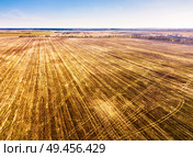 Spring agricultural fields. Dirt rural road and birch alley on background. Winter crops and plowed field. Spring rural aerial landscape. Belarus. Стоковое фото, агентство Ingram Publishing / Фотобанк Лори