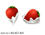 Tasty strawberries in fresh whipped cream set. Berry doused inside delicious dairy product. Natural summer dessert isolated vector illustrations.. Tasty Strawberries in Fresh Whipped Cream Set. Стоковая иллюстрация, агентство Ingram Publishing / Фотобанк Лори