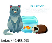 Pet shop banner various animals and text, vector illustration with cat and golden fish in glasses bowl, cute cavy pets collection home kitten. Pet Shop Banner With Various Animals and Text. Стоковая иллюстрация, агентство Ingram Publishing / Фотобанк Лори