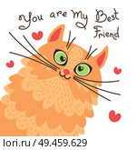 Red cat you are my best friend. Card with sweet ginger kitten. Vector illustration.. Red cat you are my best friend. Card with sweet ginger kitten. Vector illustration. Стоковая иллюстрация, агентство Ingram Publishing / Фотобанк Лори