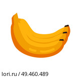Bunch of bananas cartoon vector illustration, yellow ripe fruits isolated on white. Tasty food from tropical palm tree, sweet organic exotic product.. Bunch Banana Vector Illustration Yellow Ripe Fruit. Стоковая иллюстрация, агентство Ingram Publishing / Фотобанк Лори