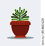 Exotic green yucca indoor plant in big clay pot. Home room houseplant for interior decoration. Potted herb with unusual foliage vector illustration. Exotic Green Yucca Indoor Plant in Big Clay Pot. Стоковая иллюстрация, агентство Ingram Publishing / Фотобанк Лори
