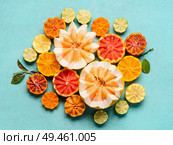 Various citrus fruits on light blue background, top view. Composing with half of orange fruits, lemon, grapefruit, mandarin, lime, clementines, pomelo and blood orange. Flat lay. Healthy food. Стоковое фото, агентство Ingram Publishing / Фотобанк Лори