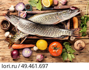 Two raw pike with spices on an old wooden background.Raw fish with spices for cooking.. Fish pike on the kitchen board. Стоковое фото, агентство Ingram Publishing / Фотобанк Лори