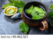 Herbal tea with bay leaf.Brewed delicious herbal tea. Tea with bay leaf. Стоковое фото, агентство Ingram Publishing / Фотобанк Лори