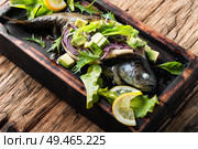 Baked trout with avocado on a wooden kitchen board.Baked fish with lettuce and avacado. Baked fish with avocado. Стоковое фото, агентство Ingram Publishing / Фотобанк Лори