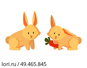 Rabbit eating carrots closeup. Bunnies with long ears eat vegetables with long green leaf. Animals cute mammals breeding of farm, vector illustration. Rabbit Eating Carrots Closeup Vector Illustration. Стоковая иллюстрация, агентство Ingram Publishing / Фотобанк Лори