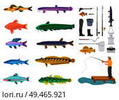 Fish set and fishing tools collection color card, isolated on white background vector illustration of different water inhabitants and rods with nets. Fishes Set and Fishing Tools Collection Color Card. Стоковая иллюстрация, агентство Ingram Publishing / Фотобанк Лори