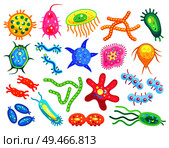 Streptococci and staphylococcus, spirillae and star-shaped flat bacteria types isolated. Little dangerous germ variety cartoon vector illustrations. Little Dangerous Bacteria for Illustrative Poster. Стоковая иллюстрация, агентство Ingram Publishing / Фотобанк Лори
