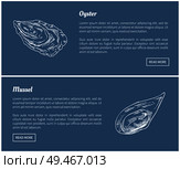 Oyster and mussel vector vintage illustration. Sea and ocean clams hand drawn decorative icons isolated on blue, restaurant menu template sketch.. Oyster and Mussel Vector Vintage Illustration. Стоковая иллюстрация, агентство Ingram Publishing / Фотобанк Лори