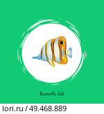 Butterfly fish green title poster. Exotic fish of unusual shape and coloring. Marine animal with long nose and striped pattern vector illustration. Butterfly Fish Title Poster Vector Illustration. Стоковая иллюстрация, агентство Ingram Publishing / Фотобанк Лори
