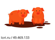 Pigs farm animals closeup. Pig-farm pink mammals in dirt, piglet breeding. Piggy in rural area, swine in dirty ground isolated on vector illustration. Pigs Farm Animals Closeup Vector Illustration. Стоковая иллюстрация, агентство Ingram Publishing / Фотобанк Лори