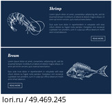 Schrimp and bream marine products vector illustrations in sketch style. Dark blue landing page with text sample. Great for seafood fish market design. Shrimp and Bream Marine Products Landing Page. Стоковая иллюстрация, агентство Ingram Publishing / Фотобанк Лори