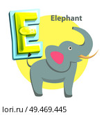 Elephant children alphabet animal with trunk, E letter. Educational flashcard with wild mammal. Worksheet for kids learning language isolated vector. Elephant Children Alphabet Vector Illustration. Стоковая иллюстрация, агентство Ingram Publishing / Фотобанк Лори