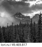 Clouds over pine forest and mountains, Saskatchewan River Crossing, Icefields Parkway, Jasper, Alberta, Canada. Clouds over pine forest and mountains, Saskatchewan River Crossing, Icefields Parkway, Jasper, Alberta, Canada . Стоковое фото, агентство Ingram Publishing / Фотобанк Лори